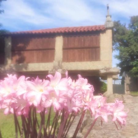 Casal De Folgueiras Rias Baixas Pensionat Meis Exteriör bild