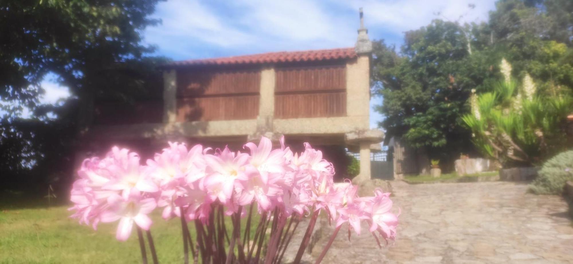 Casal De Folgueiras Rias Baixas Pensionat Meis Exteriör bild